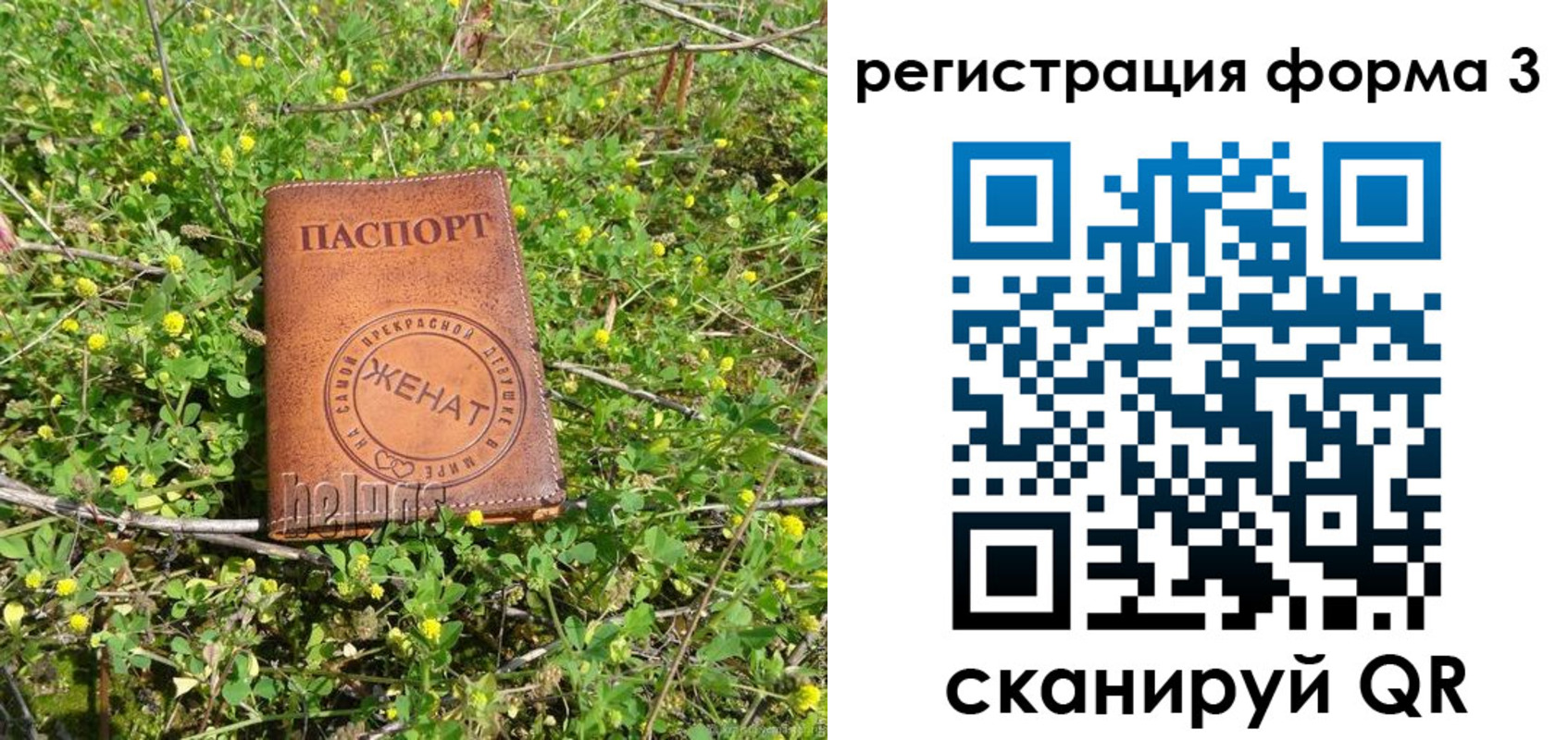 временная регистрация гарантия в Сланцах
